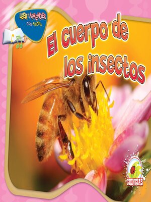 cover image of El cuerpo de los insectos (Insect's Body)